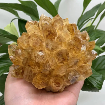 AURIX Solar Citrine™ Quartz Cluster