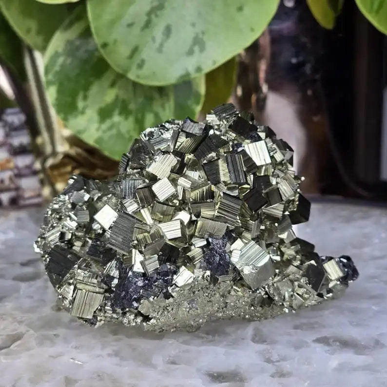 AURIXS Golden Shield™ Raw Pyrite